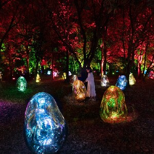 大阪長居植物園 teamLab Botanical Garden Osaka 門票