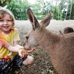 凱恩斯道格拉斯港野生動物棲息地門票