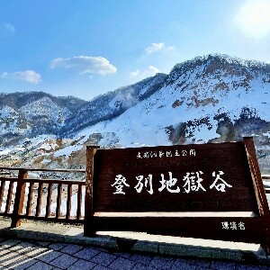 【1人成團】北海道登別熱門打卡一日遊：洞爺湖展望臺&洞爺湖溫泉碼頭&Lake Hill Farm&昭和新山熊牧場&登別地獄谷