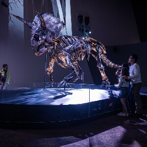 墨爾本博物館門票