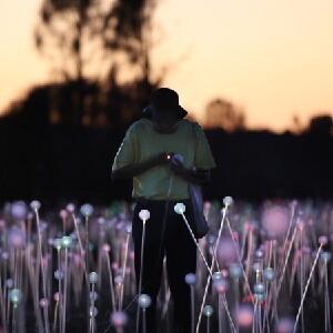 「原野星光」日出之旅