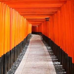 從京都或大阪出發的京都一日遊