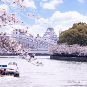 大阪或京都出發：大阪城市一日探索徒步之旅