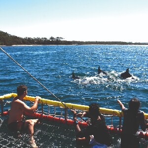 傑維斯灣夏潮織網體驗