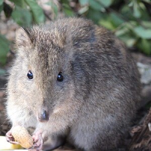 波托魯宮動物保護區門票