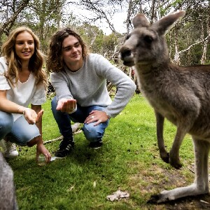 月光保護區野生動物保育公園門票
