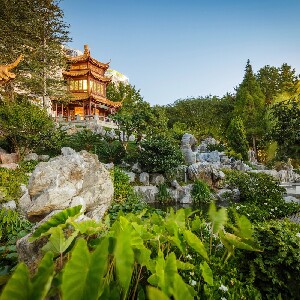 雪梨中國友誼花園門票