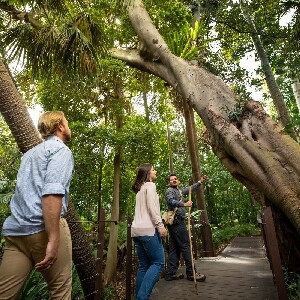 墨爾本皇家植物園＆原住民文化遺產徒步導覽門票