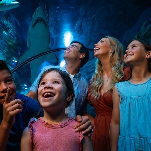 陽光海岸 SEA LIFE 水族館門票