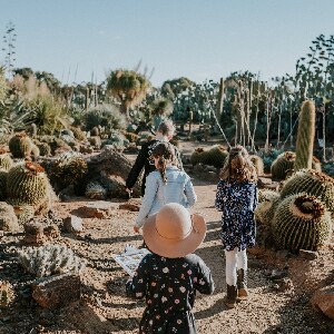 墨爾本 Cactus Country 仙人掌花園門票