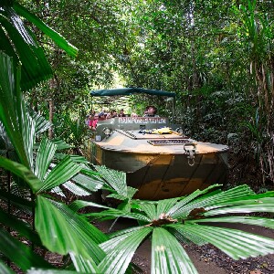 庫蘭達雨林水陸兩用車＆雨林纜車＆觀光火車體驗