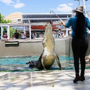 達爾文鱷魚公園＆達爾文景點套票