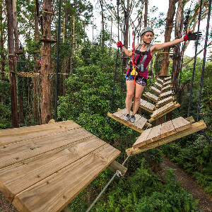 陽光海岸樹頂冒險樂園門票