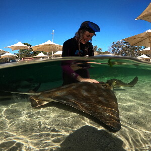 Irukandji Shark & Ray Encounters 水族館門票