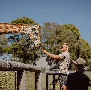 獵人谷動物園門票