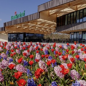 荷蘭庫肯霍夫花園門票（含阿姆斯特丹隨上隨下巴士）