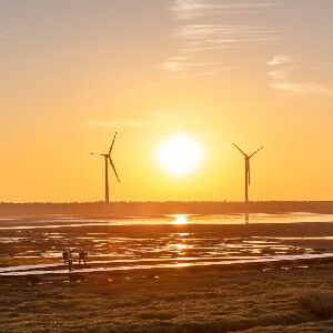 臺中高美濕地 & 彩虹眷村半日遊
