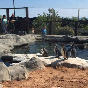 斯卡伯勒海洋生物中心門票