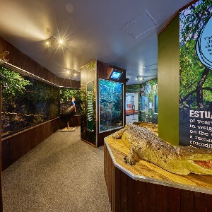 凱恩斯考拉和生物門票