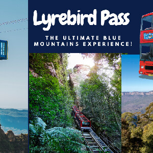 藍山隨上隨下觀光巴士通票（可加選景觀世界門票）