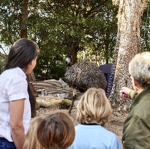 澳式後院探險之旅
