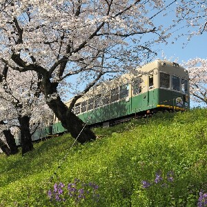 嵐電&京都地鐵一日乘車券