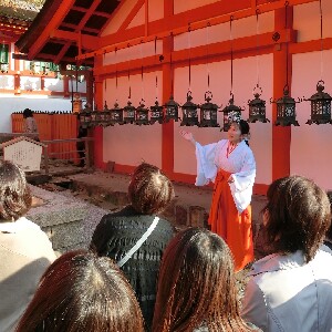從京都或大阪出發的京都和奈良一日遊