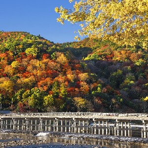 伏見稻荷大社+嵐山+清水寺+金閣寺一日遊