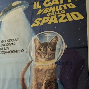 阿姆斯特丹貓咪博物館門票