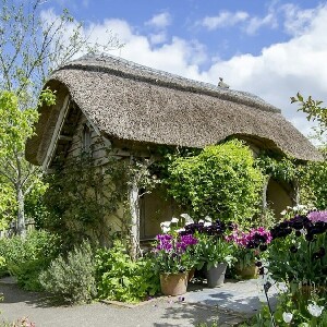 德文郡羅斯穆爾皇家園藝學會花園門票