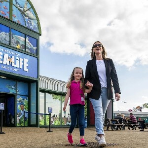 亨斯坦頓海洋生物中心門票