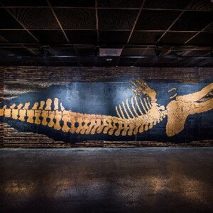 臺南左鎮化石園區門票