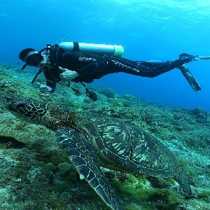 熊潛水Bear Diving - 小琉球岸潛旅遊潛水（需潛水執照）