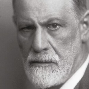 維也納西格蒙德弗洛伊德博物館門票