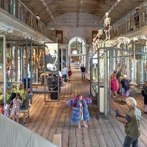 阿姆斯特丹 ARTIS Groote 博物館門票