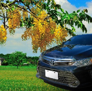 私人接送：臺南高鐵站／臺南市區