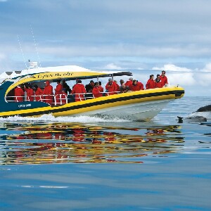 塔斯曼島遊船巡航一日導覽（霍巴特出發）