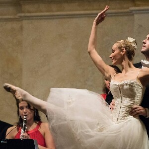 維也納埃申巴赫宮殿至尊音樂會