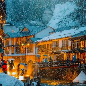 新宿出發 | 日本銀山溫泉&藏王中央纜車&宮崎藏王狐貍村&大內宿 2日遊