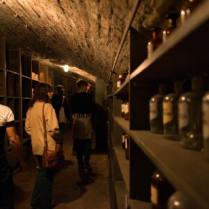 維也納歷史地下藥房探索之旅