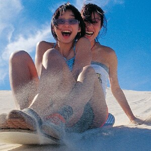 尖峰石陣無尾熊與滑沙四驅車探險之旅