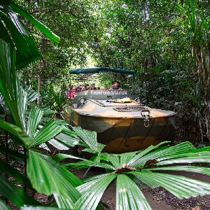 凱恩斯出發| 昆士蘭熱帶雨林自然公園一日遊
