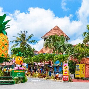 日本名護鳳梨園門票