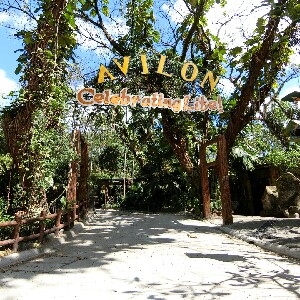 菲律賓黎剎Avilon動物園門票