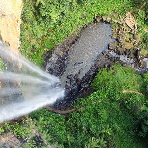 黃金海岸出發| 天然橋 & 春溪瀑布遊覽