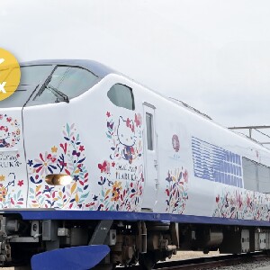 JR關西機場特快HARUKA車票