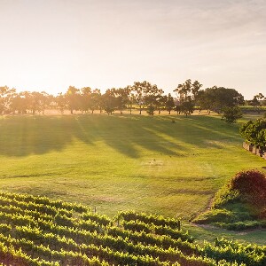 天鵝河谷美食 & 美酒中文導覽一日遊