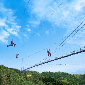 日本三島天空步道門票
