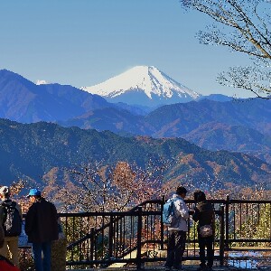 京王線一日乘車券（含高尾山纜車＆吊椅套票）