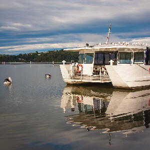 黃金海岸捉蟹體驗